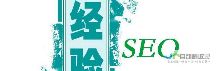 深入了解不同类型的软件开发，包括 Web 开发、移动开发、游戏开发等，以及它们各自的最佳实践和趋势。