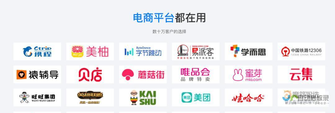 电商平台建设全攻略：涵盖选品、运营、推广、支付等关键环节，助您快速构建成功的线上商城